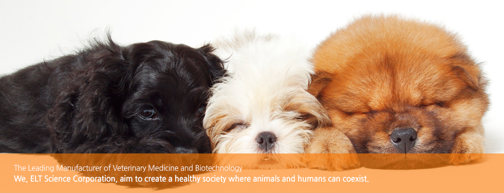 We, ELT Science Corporation, aim to create a healthy society where animals and humans can coexist.